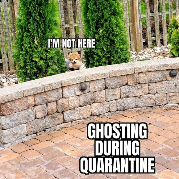 Loki LittleBear 2006-2020 (RSVP delayed shipments) - Picture 9 of 14